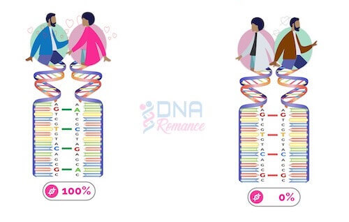 Genetic Dating Netlix The One