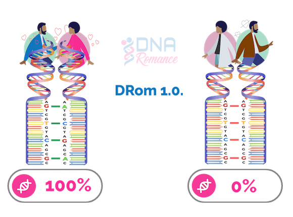 DNA Romance's DRom 1.0 algorithm